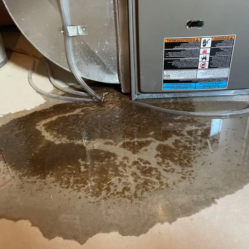 Pipe Burst and Leak Restoration in Warren County, OH