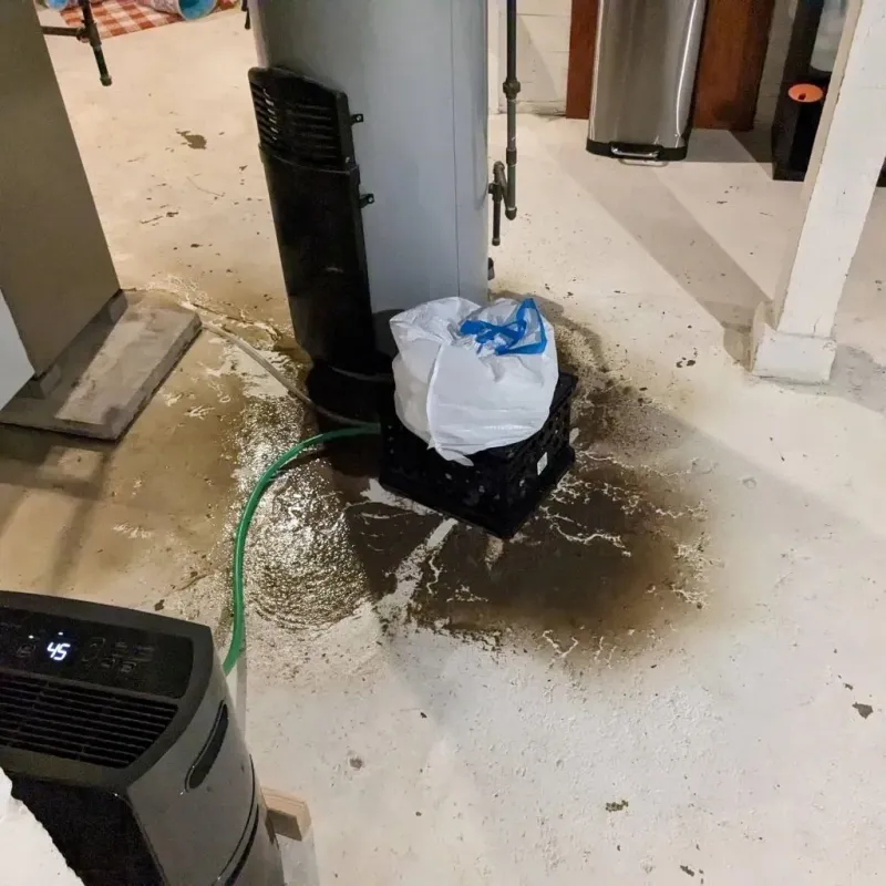 Sewage Backup Cleanup Service in Warren County, OH